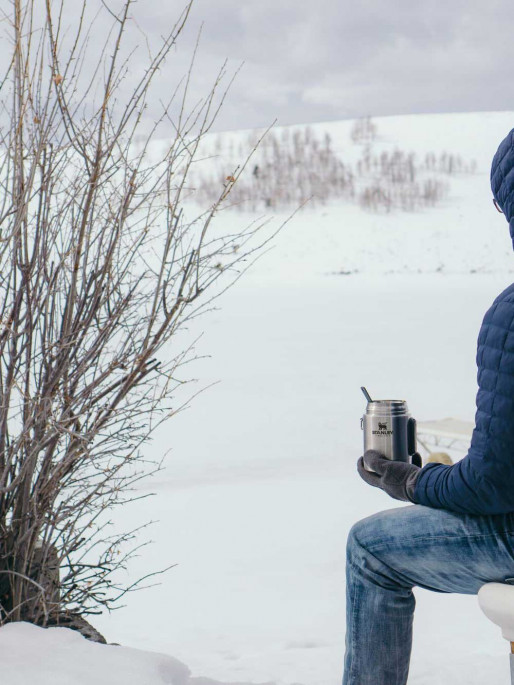 STANLEY Термос за храна Stainless Steel All-In-One 0.53L