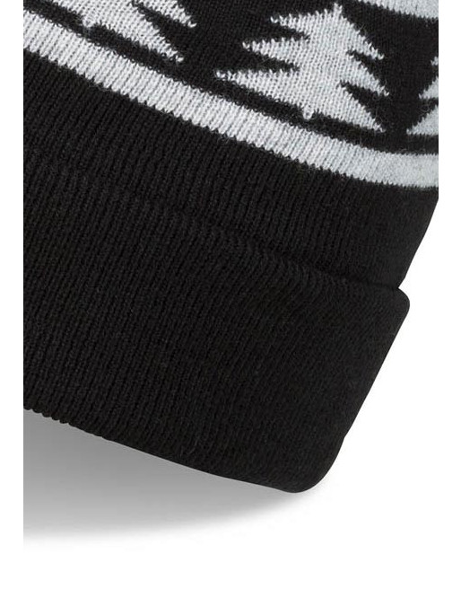 DAKINE JACK PINE MERINO Hat