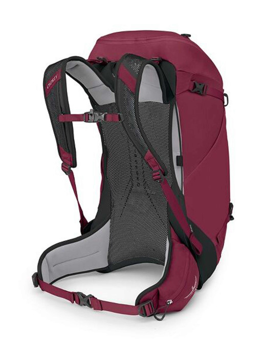OSPREY Hikelite 32 Backpack