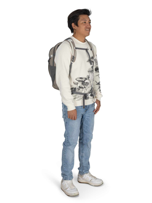 OSPREY Daylite Plus Backpack