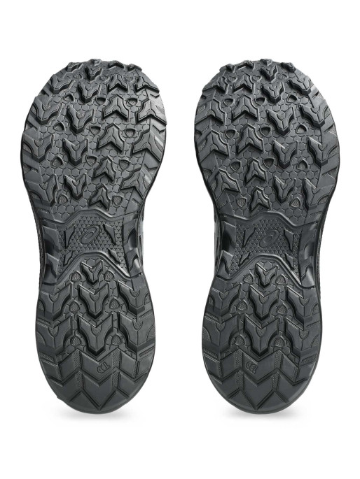 ASICS Incaltaminte Venture 10