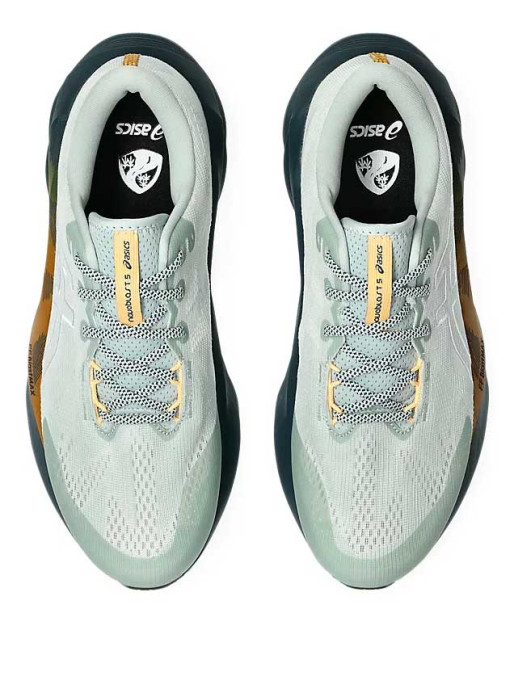 ASICS Incaltaminte Novablast 5 Tr