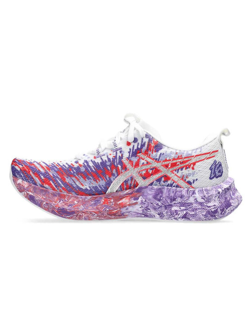 ASICS Incaltaminte Noosa Tri 16