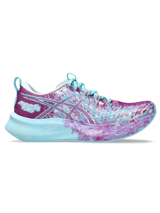 ASICS Incaltaminte Noosa Tri 16