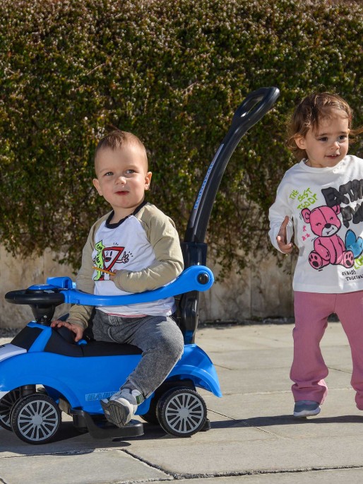 MONI Push car Rider 308