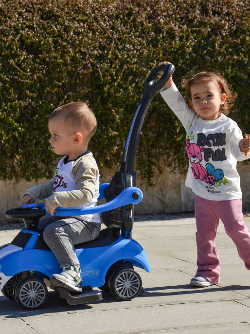 MONI Push car Rider 308