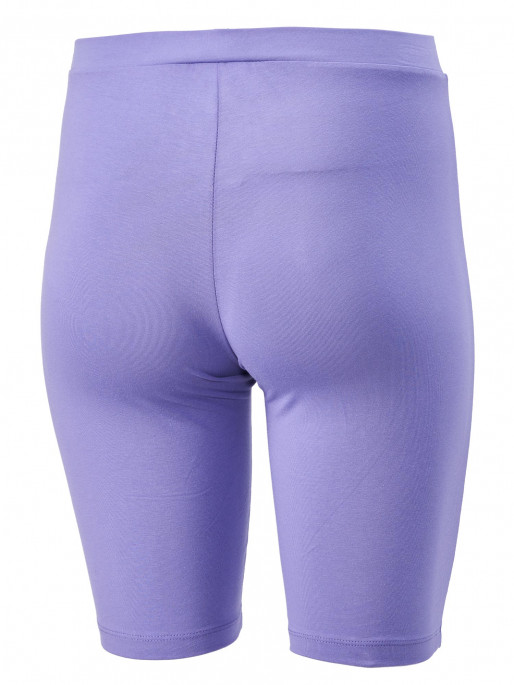 CHAMPION Клин Bike Trunk