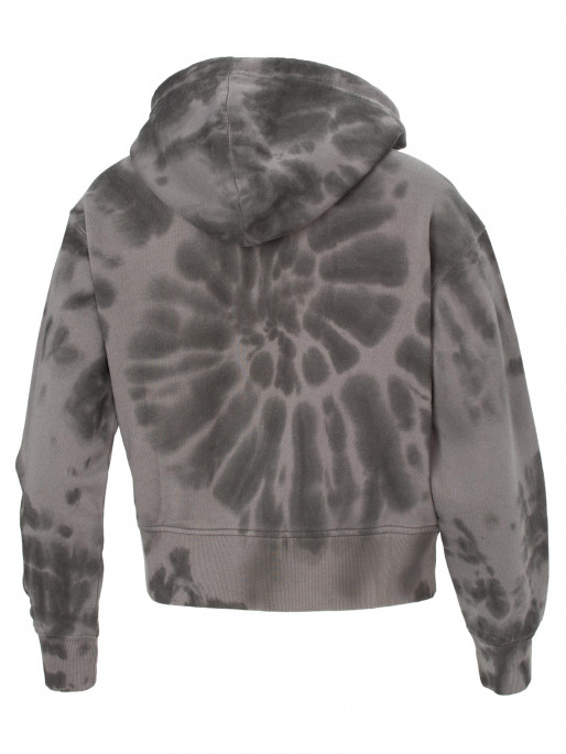 CHAMPION Hanorac Hooded Sweatshirt