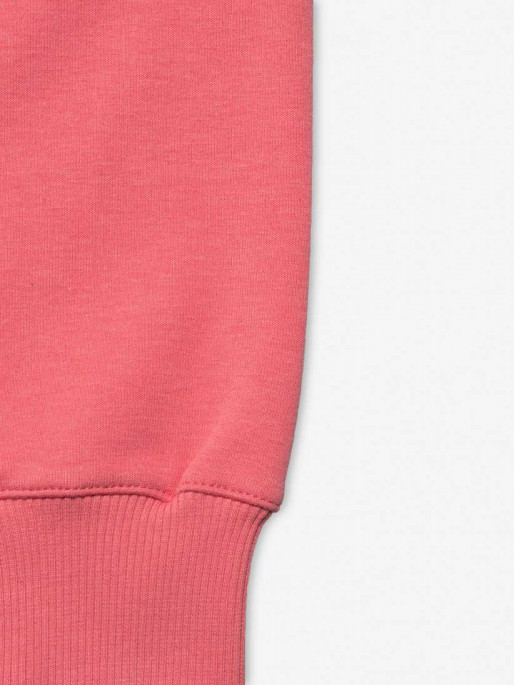 CHAMPION Hooded Sweatshirt