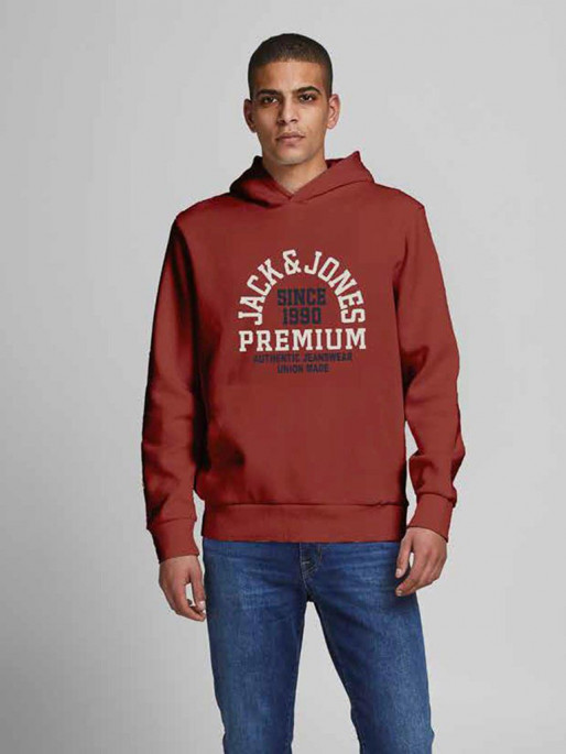 JACK & JONES JPRBLUBOOSTER Hoodie