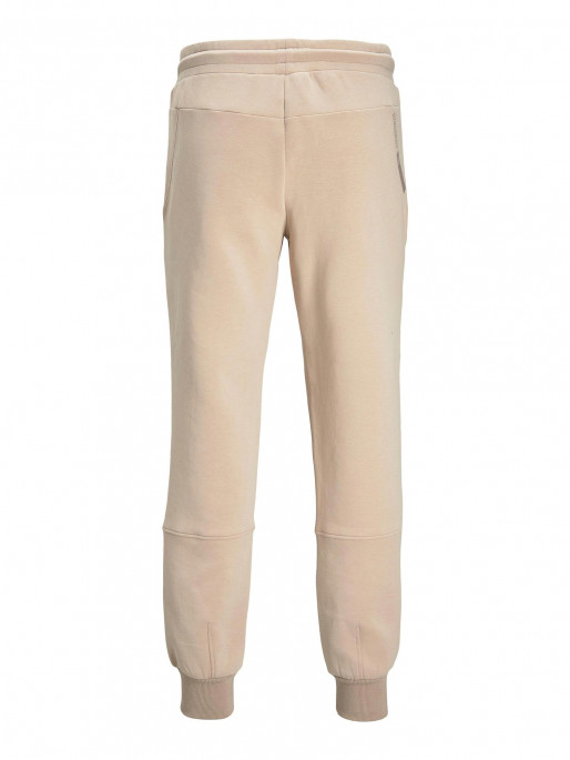 JACK & JONES Pantaloni sport Jwhgordon Jjtyson