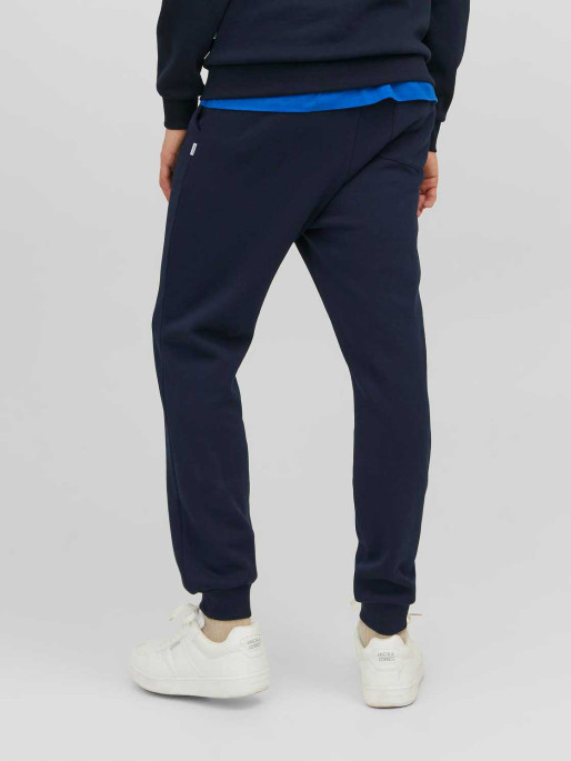 JACK & JONES Pantaloni sport Jpstgordon Jjbradley
