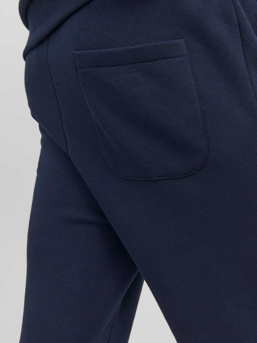 JACK & JONES Pantaloni sport Jpstgordon Jjbradley