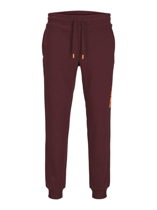 JACK & JONES JPSTGORDON JJALVIS SWEAT PANTS NAF