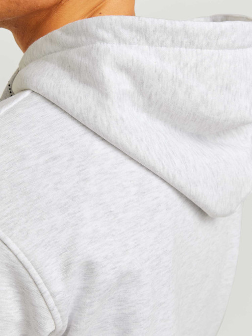 JACK & JONES Sweatshirt JORPORTLAND BLOCK SWEAT HOOD LN