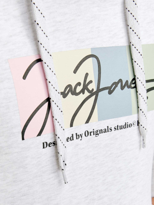 JACK & JONES Sweatshirt JORPORTLAND BLOCK SWEAT HOOD LN