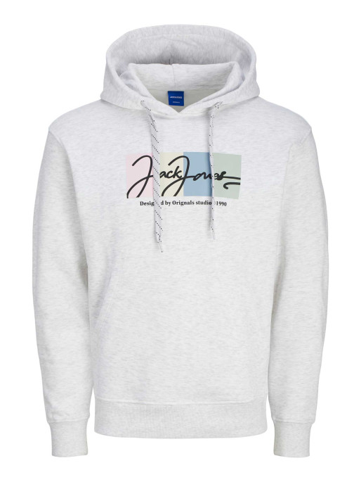 JACK & JONES Sweatshirt JORPORTLAND BLOCK SWEAT HOOD LN