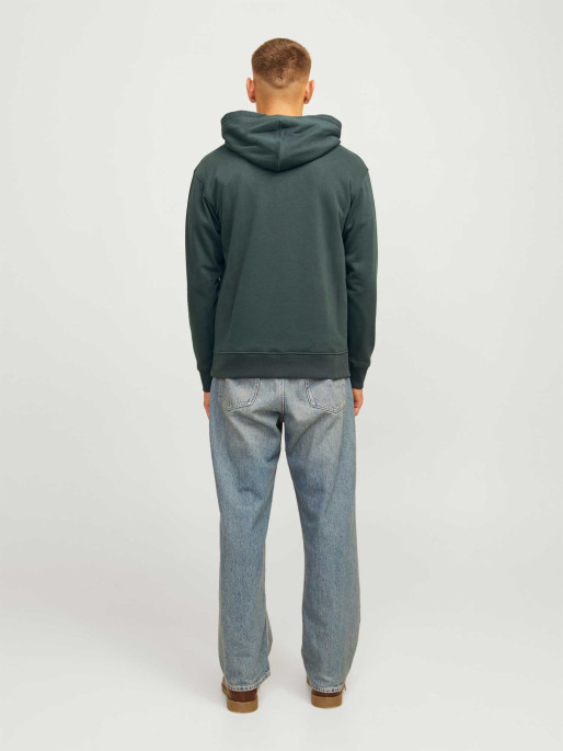 JACK & JONES Sweatshirt JORPORTLAND BLOCK SWEAT HOOD LN