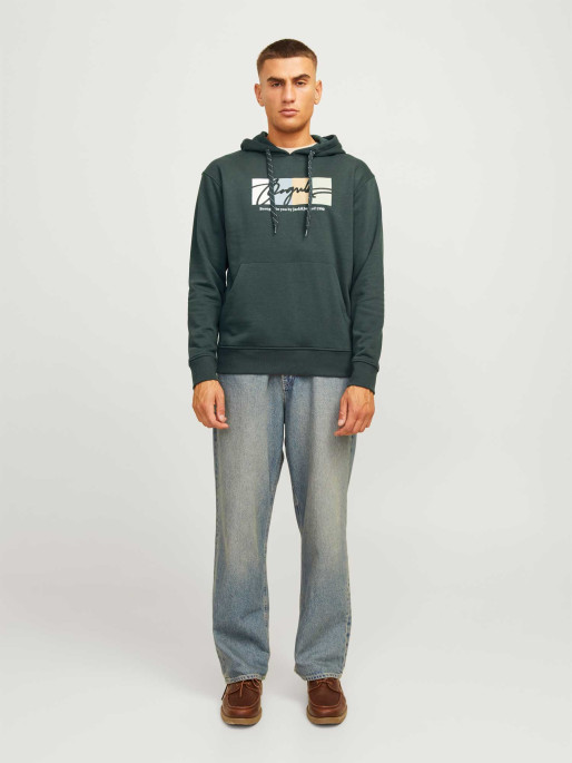 JACK & JONES Sweatshirt JORPORTLAND BLOCK SWEAT HOOD LN