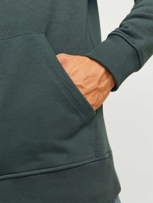 JACK & JONES Sweatshirt JORPORTLAND BLOCK SWEAT HOOD LN