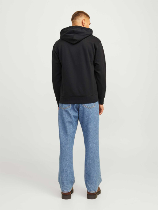 JACK & JONES Sweatshirt JORPORTLAND BLOCK SWEAT HOOD LN