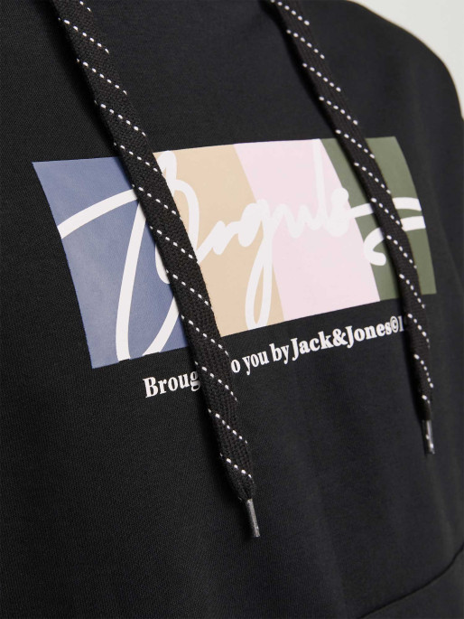 JACK & JONES Sweatshirt JORPORTLAND BLOCK SWEAT HOOD LN