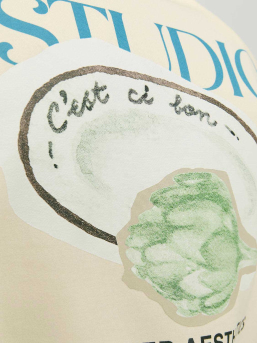 JACK & JONES Blouse JORBROOKLYN GRAPHIC SWEAT CREW NECK LN