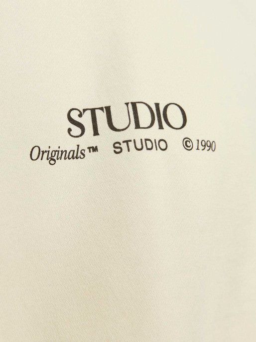 JACK & JONES Blouse JORBROOKLYN GRAPHIC SWEAT CREW NECK LN