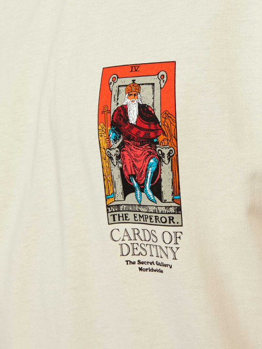 JACK & JONES JORORACLE TEE SS CREW NECK TG T-shirt