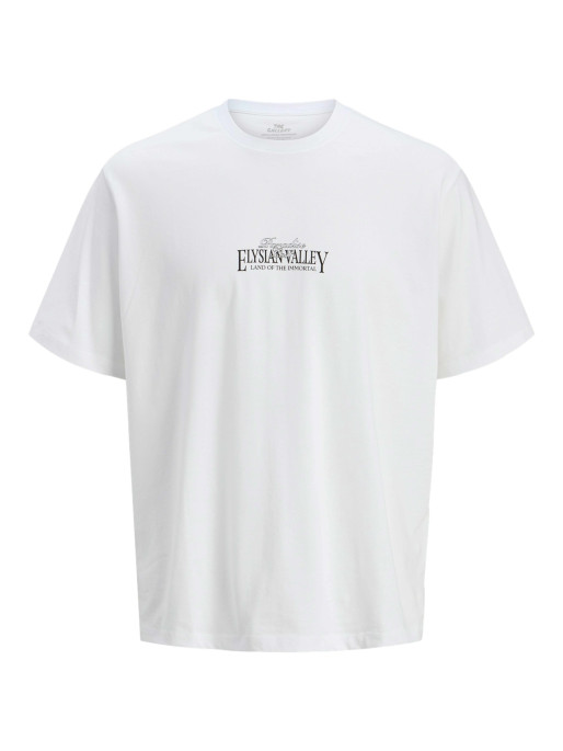 JACK & JONES JORPARALLEL TEE SS CREW NECK TG