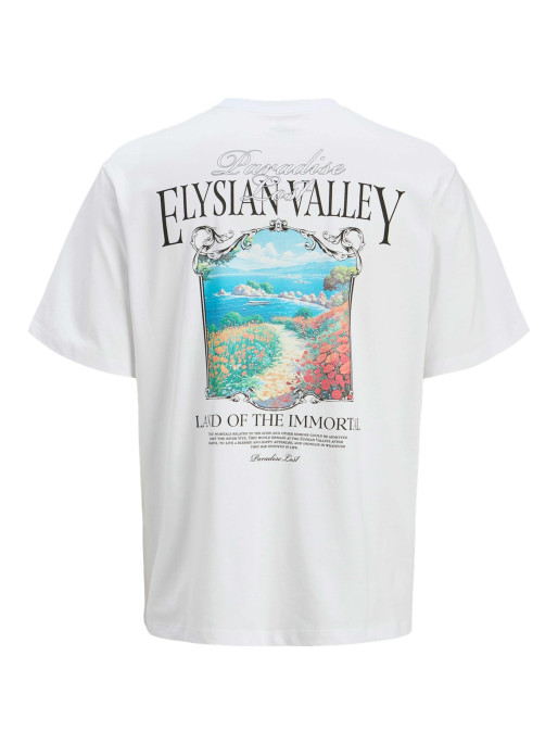 JACK & JONES JORPARALLEL TEE SS CREW NECK TG