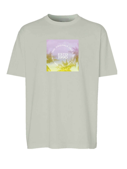JACK & JONES JORVARENNA PHOTO TEE SS CREW NECK FST