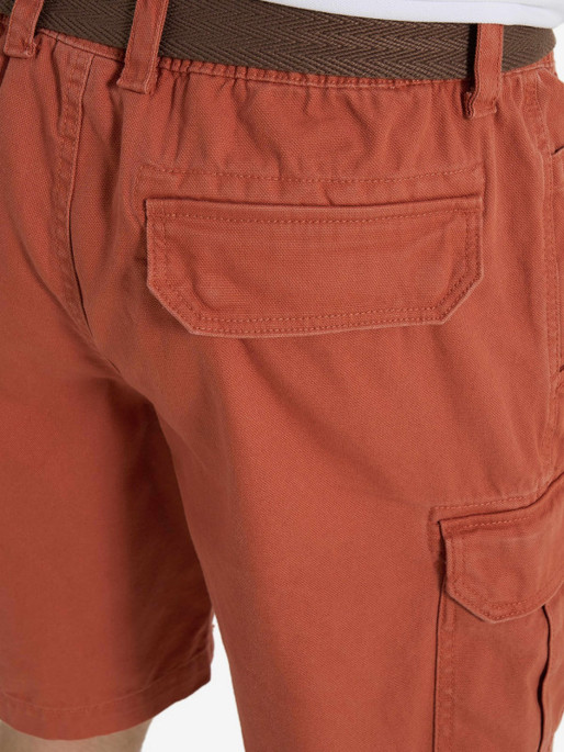 CORDILLERO Pantaloni scurti Male Canvas