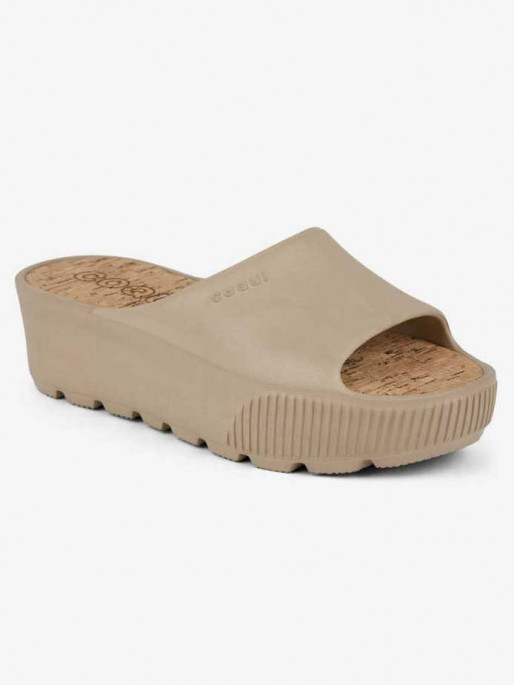 COQUI PAM Slides