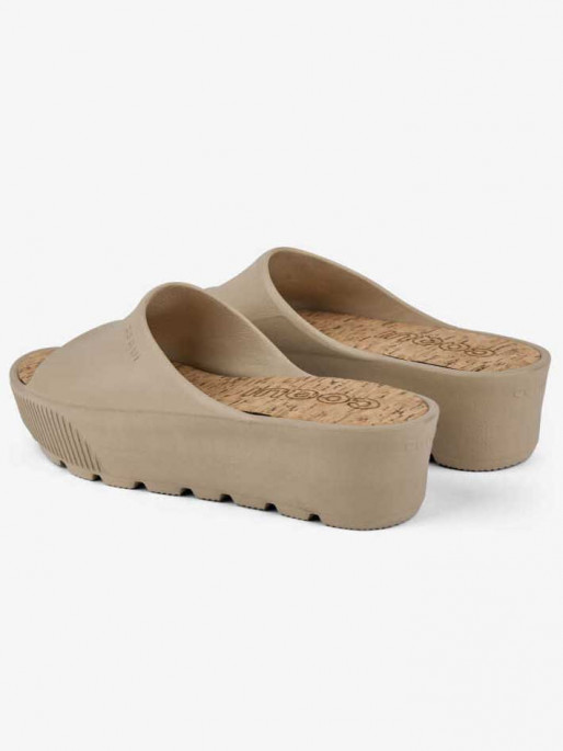 COQUI PAM Slides
