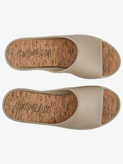 COQUI PAM Slides