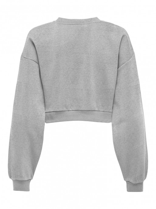 ONLY ONLODESSA L/S SHORT O-NECK CC SWT Sweatshirt