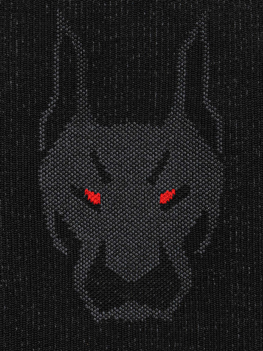 NORDICA DOBERMAN Ski socks