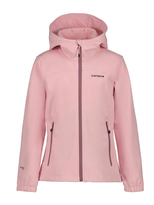 ICEPEAK