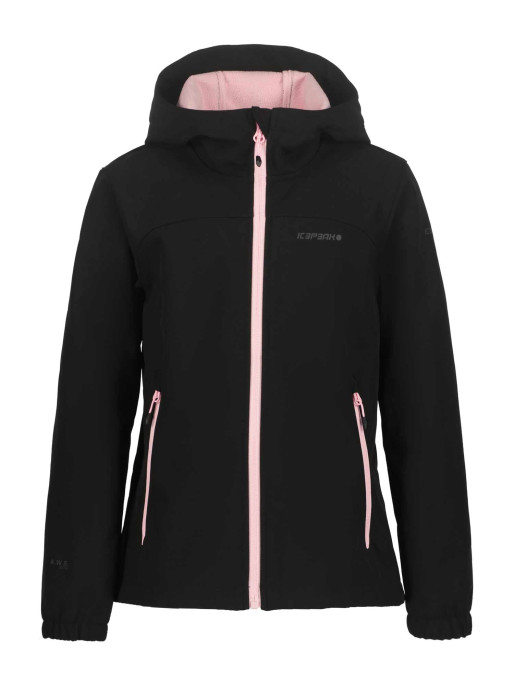 ICEPEAK