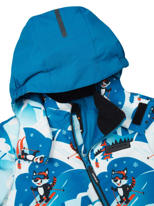 ICEPEAK