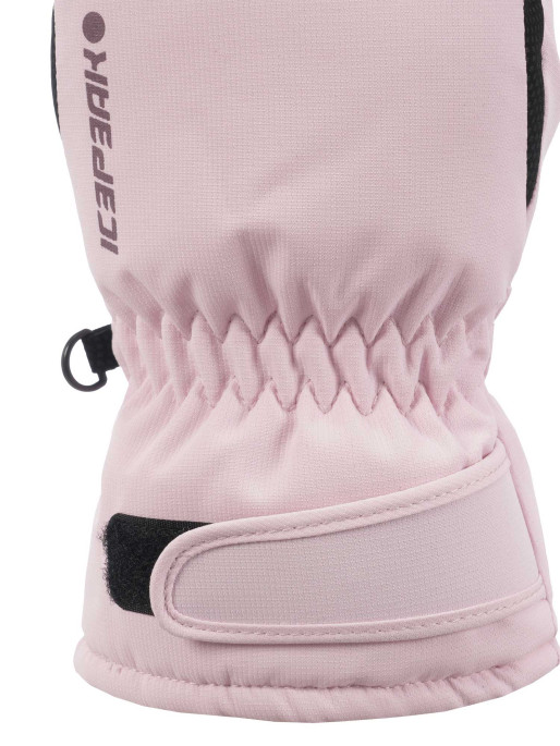 ICEPEAK
