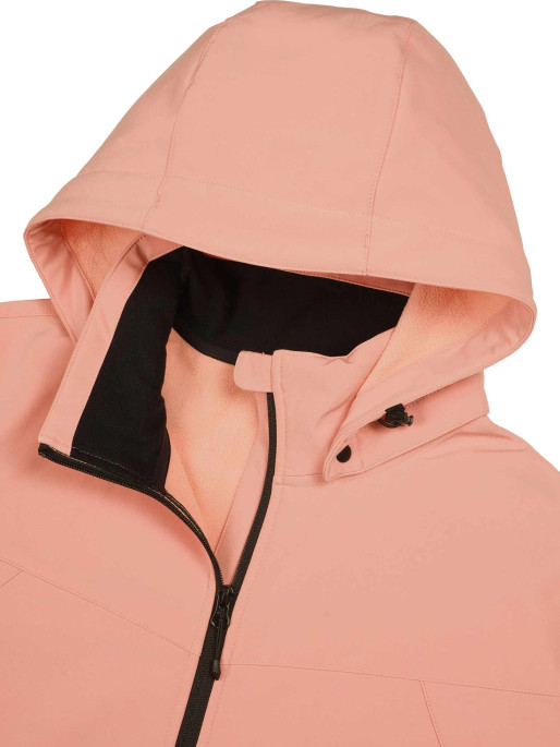 ICEPEAK