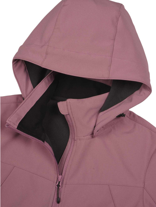 ICEPEAK