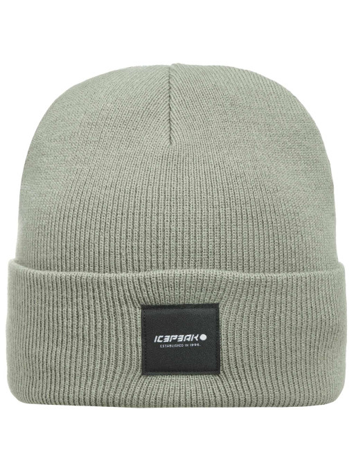 ICEPEAK