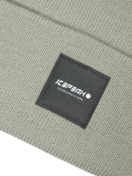 ICEPEAK