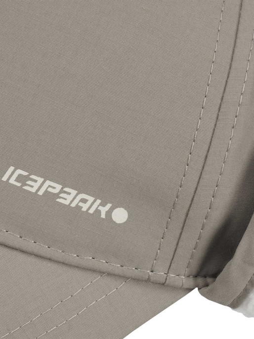 ICEPEAK
