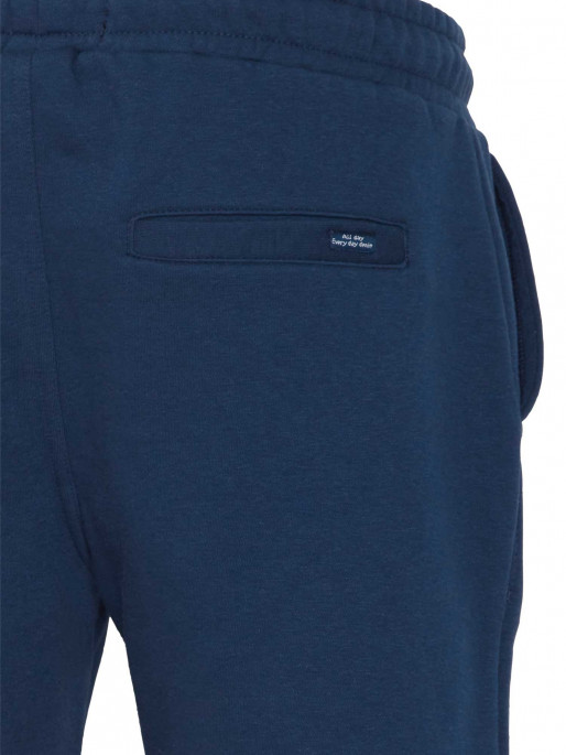BLEND Pantaloni scurti Bhdownton