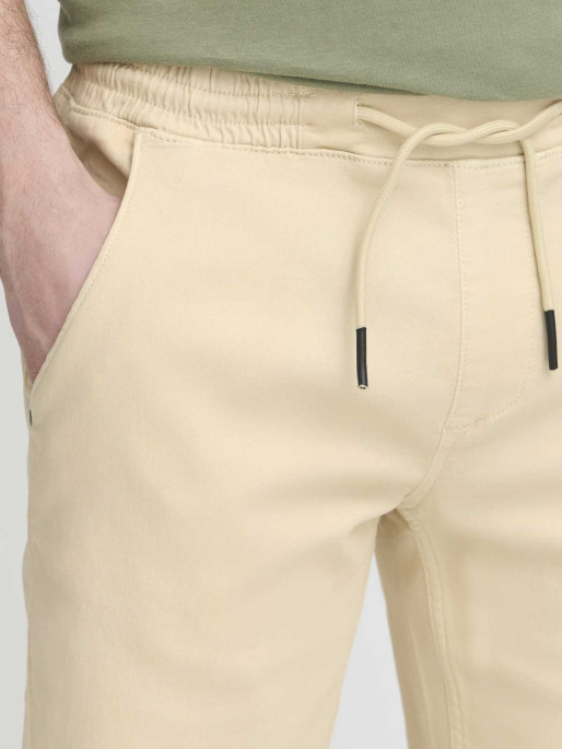 BLEND Pantaloni scurti Bhblizzard