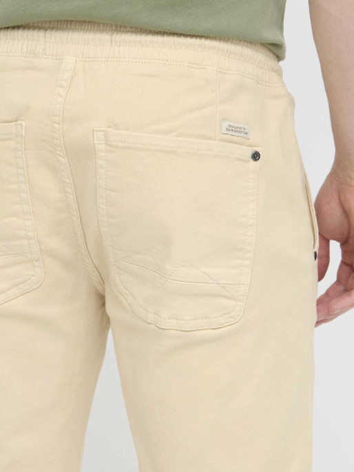 BLEND Pantaloni scurti Bhblizzard